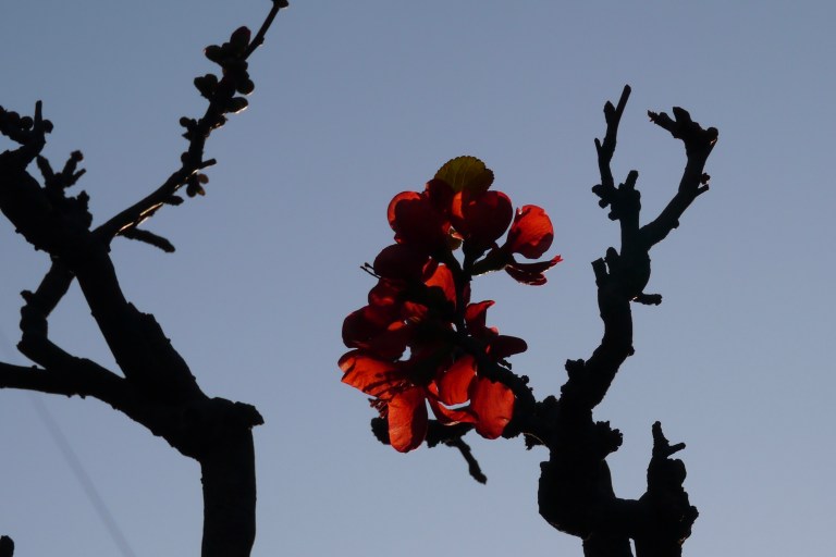 0686BFF7-E3C8-4BD6-9DC0-920D15298493