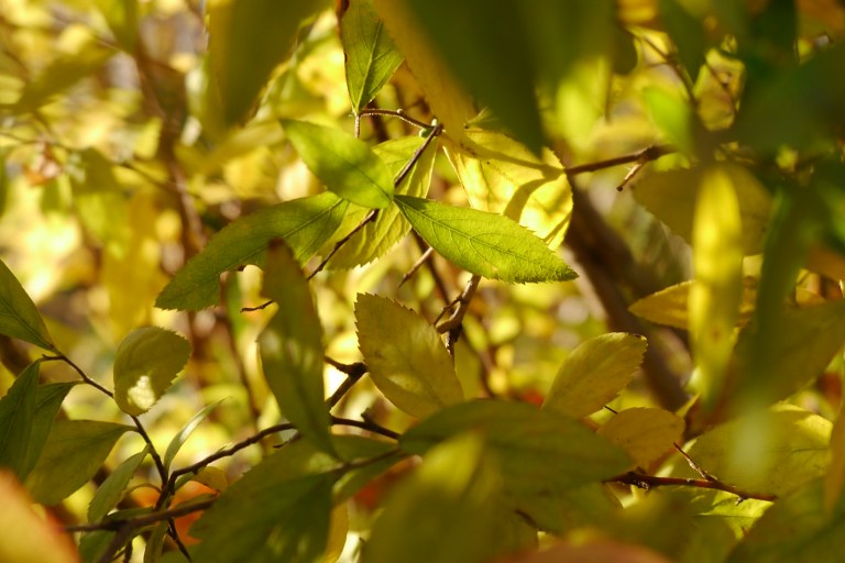 BA0BE941-4AC7-400C-8F3E-143C88B769ED