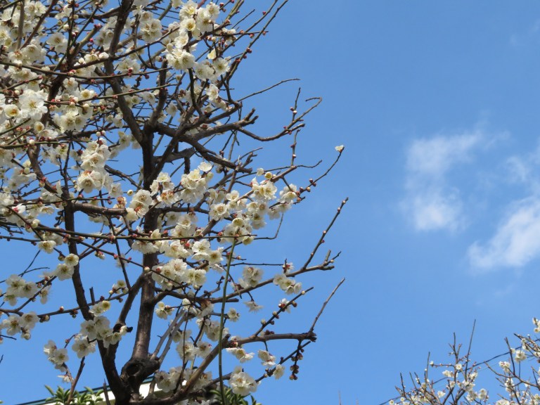 BCEE4670-375D-485C-8442-C2DA87A5983D