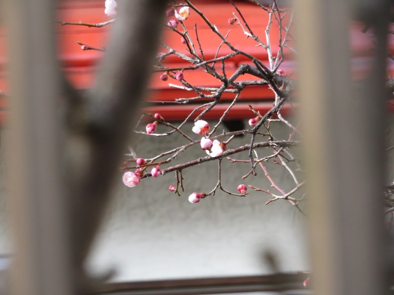 C57A06F9-4671-410A-938B-3E4BDDE1500A