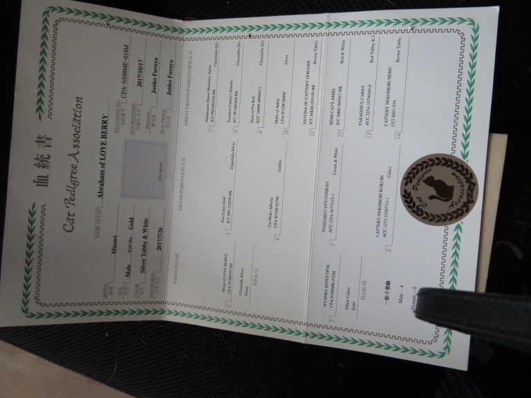 F71E7C4E-B427-4C6D-B7D3-7FA9040B685A