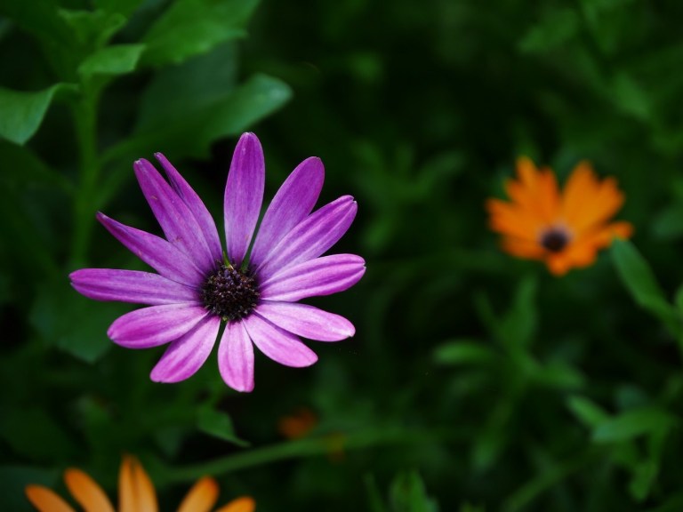 6138154D-54FD-4C6E-816C-DA81B6B13F1B