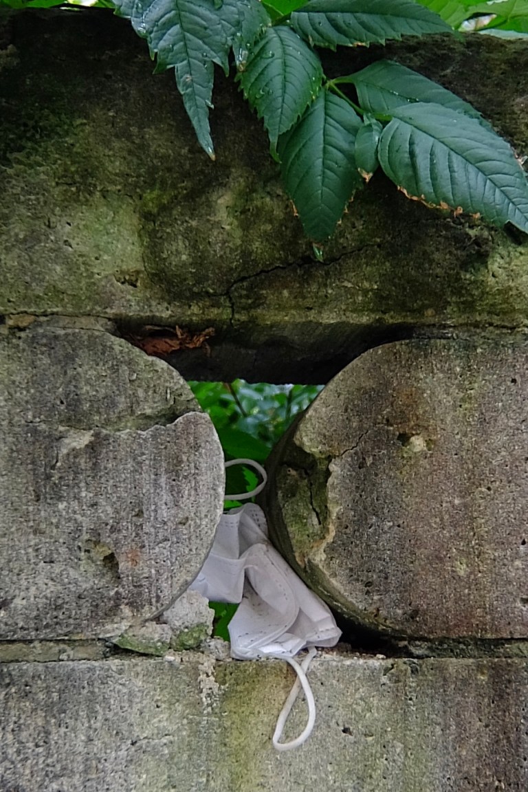 92389F01-AFE4-4B2D-94ED-B12E275B2349