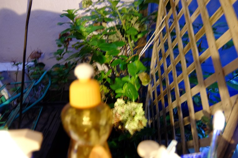 79559609-4956-486E-9B26-A5B3DDC473C7